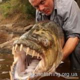 Джером Уейд зловив Голіафа - рибу, яку бояться навіть крокодили