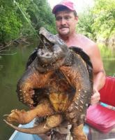 Ловив рибу, а зловив доісторичну черепаху