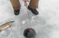 Ловля риби на зимову поплавкову вудку