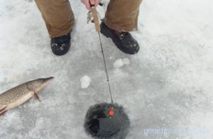 Ловля риби на зимову поплавкову вудку