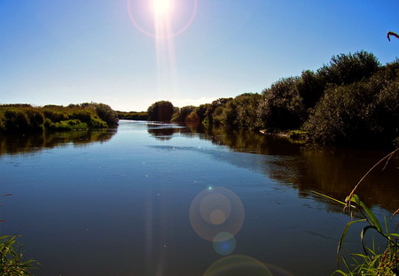 Забруднено водойми у чотирьох районах Черкащини 