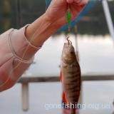 Про рибалку в Фінляндії