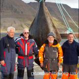 Німецький пенсіонер зловив 220-кілограмову рибину