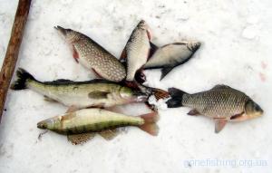 Ловля риби в лютому