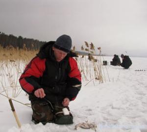 Зимова ловля риби на безмотильну мормишку
