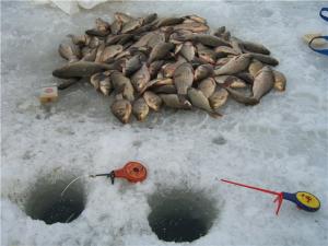 Що потрібно для лову риби на поплавкову вудку?